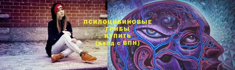 Псилоцибиновые грибы Cubensis  что такое   маркетплейс как зайти  Верхнеуральск 